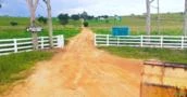 Fazenda em Alto Araguaia - MT área rural Referência FA0201