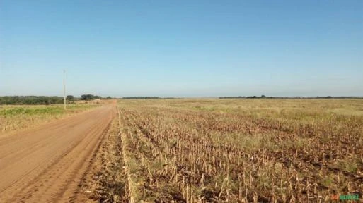 Fazenda em Santana do Araguaia - PA área rural - FA0169