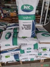 Sementes de milho Híbrido/Transgênico Feroz Syngenta vip3