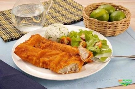 Procuro Fornecedor de Peixe e Filé na região da grande Florianópolis Imagem Procuro Fornecedor de Peixe e Filé na região da grande Florianópolis