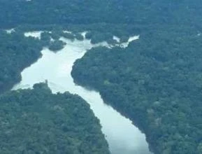 AREA NO AMAZONAS - MATA NATIVA - 3000 mil hectares