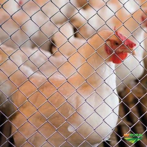 Tela Alambrado Imagem Tela Alambrado