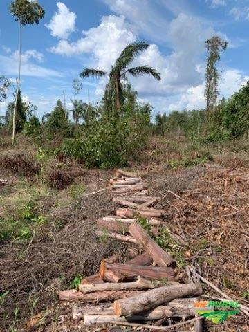 Área junto ao Castanhal