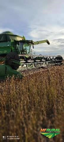Estamos a procura de área para colher milho safrinha 2020 e soja 2022 Imagem Estamos a procura de área para colher milho safrinha 2020 e soja 2022