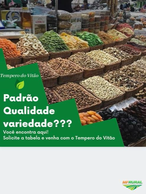 ERVAS E CONDIMENTOS Imagem ERVAS E CONDIMENTOS