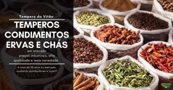 Imagem ERVAS E CONDIMENTOS Imagem ERVAS E CONDIMENTOS