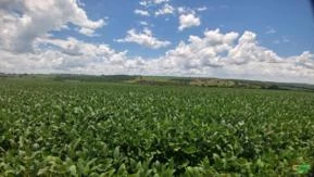 Fazenda em Goiânia Go.