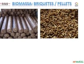 briquete ecologico de biomassa - alto poder calorifico