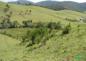 Fazenda linda a 32 km de São Paulo