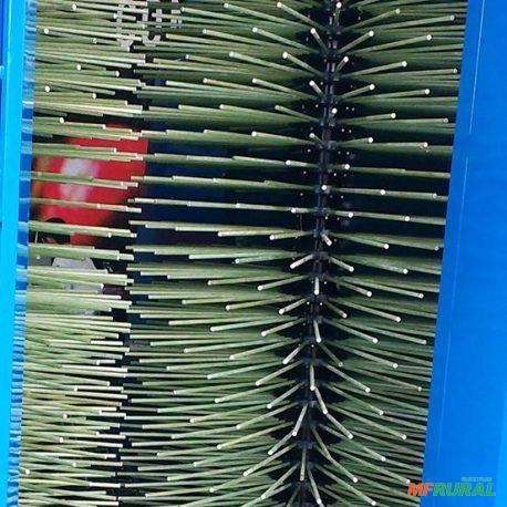 Imagem FABRICAÇÃO DE COLAR PARA COLHEITADEIRA CAFE ANEL SUPORTE VARETA Imagem FABRICAÇÃO DE COLAR PARA COLHEITADEIRA CAFE ANEL SUPORTE VARETA