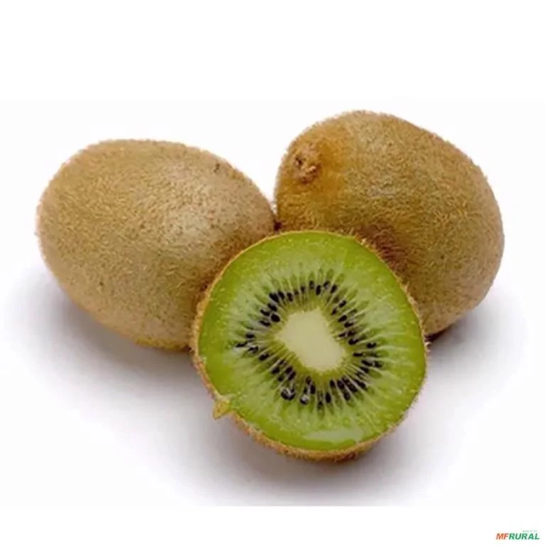 Muda de Casal de Kiwi