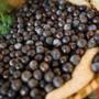 Muda de Palmito Açaí de 40 a 80 cm Imagem Muda de Palmito Açaí de 40 a 80 cm