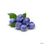Muda de Mirtilo (Blueberry) Produzindo de 70 cm a 1 m Imagem Muda de Mirtilo (Blueberry) Produzindo de 70 cm a 1 m