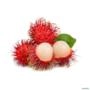 Muda de Rambutã de 40 a 80 cm Imagem Muda de Rambutã de 40 a 80 cm