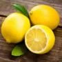 Muda de Limão Siciliano Produzindo Altura de 1,0 m a 1,5 m