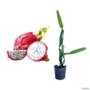 Muda de Pitaya de 40 a 80 cm Imagem Muda de Pitaya de 40 a 80 cm