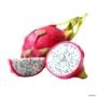 Muda de Pitaya de 40 a 80 cm Imagem Muda de Pitaya de 40 a 80 cm