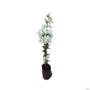 Kit 4 Mudas de Primavera Branca de 20 a 40 cm Imagem Kit 4 Mudas de Primavera Branca de 20 a 40 cm