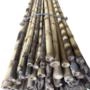 Kit 36 Tutor Estaca de Bambu para Plantas com 120 cm Imagem Kit 36 Tutor Estaca de Bambu para Plantas com 120 cm