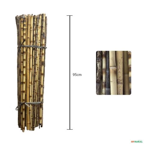 Kit 36 Tutor Estaca de Bambu para Plantas com 95 cm Imagem Kit 36 Tutor Estaca de Bambu para Plantas com 95 cm