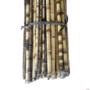 Kit 24 Estacas para Plantas Haste Natural Tutor Bambu 120 cm Imagem Kit 24 Estacas para Plantas Haste Natural Tutor Bambu 120 cm