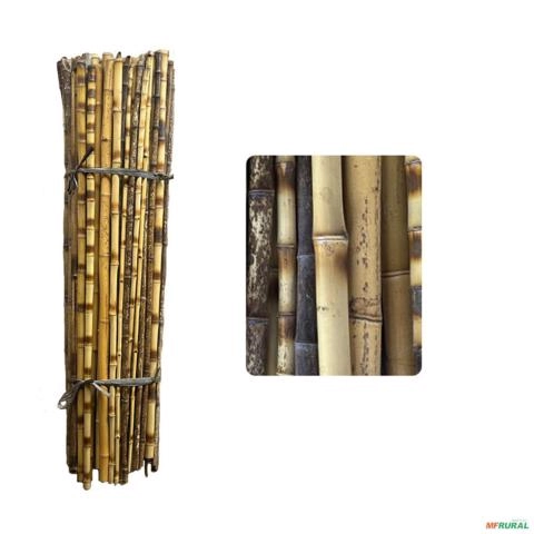 Kit 36 Tutor Estaca de Bambu Preto para Plantas com 95 cm Imagem Kit 36 Tutor Estaca de Bambu Preto para Plantas com 95 cm