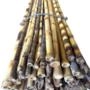 Kit 36 Tutor Estaca de Bambu Preto para Plantas com 95 cm Imagem Kit 36 Tutor Estaca de Bambu Preto para Plantas com 95 cm