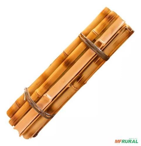 Tutor Bambu Queimado Rachado Identificado 12 Unidades 95 cm Imagem Tutor Bambu Queimado Rachado Identificado 12 Unidades 95 cm