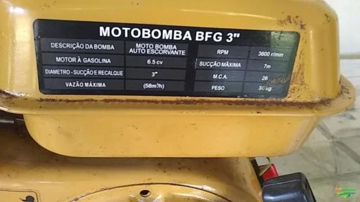 Motobomba Autoescorvante Gasolina 6,5 CV BFG 3" Buffalo