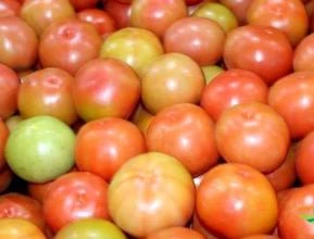Compro tomate de descarte