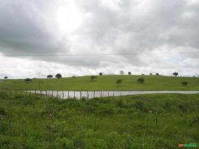 Procuro arrendamento área rural na região de Campos/RJ