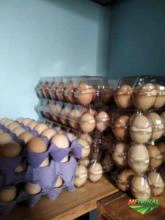 ovos caipira
