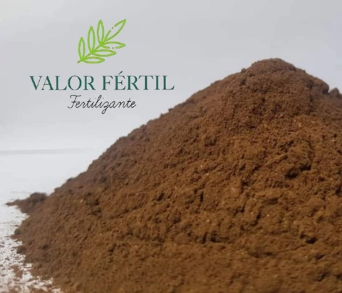 Fosforita Imagem Fosforita