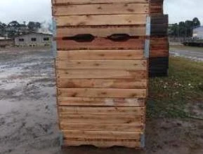 Bins (caixas) de madeira eucalipto