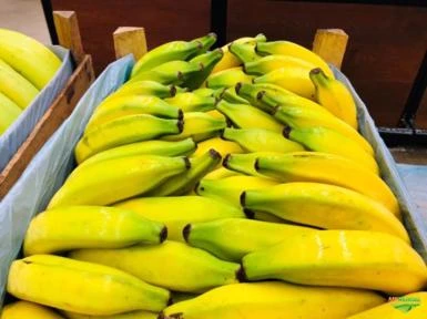 Bananas prata