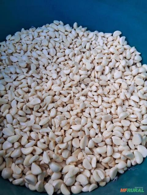 ALHO DESCASCADO Imagem ALHO DESCASCADO