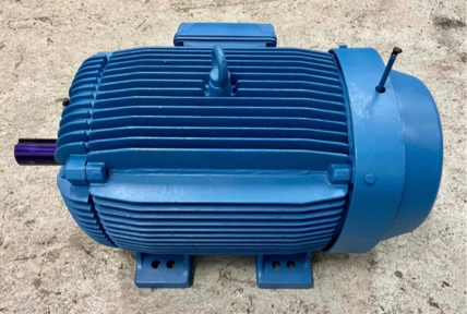 Imagem Motor Elétrico 50 CV Imagem Motor Elétrico 50 CV