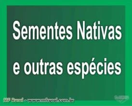 Sementes de Arvores Nativas