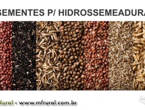 SEMENTES PARA HIDROSSEMEADURA