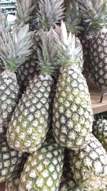 Abacaxi Imagem Abacaxi