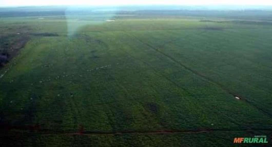 Excelente Mega Fazenda - Mato Grosso