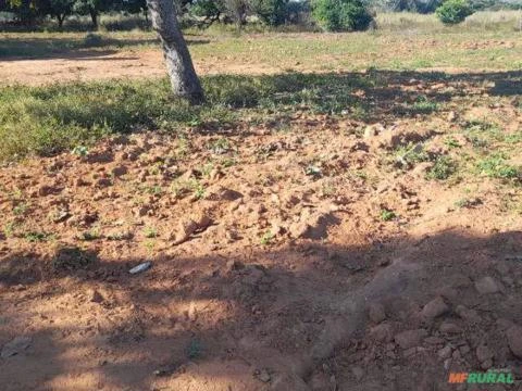 Fazenda dupla Aptidão em Tocantins