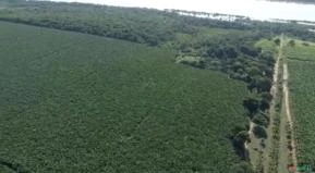 Fazenda as margens do Rio são Francisco