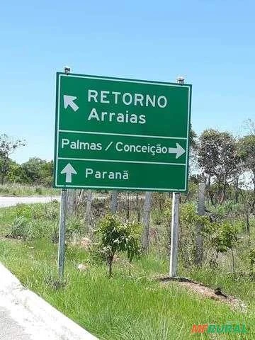 Fazenda Paranã, 60 alqueires, beira Rio Palmas