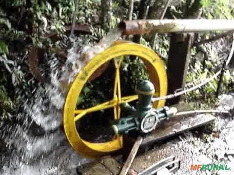 Roda d Imagem Roda d