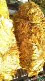 Tabaco Fumo Virgínia Gold desfiado