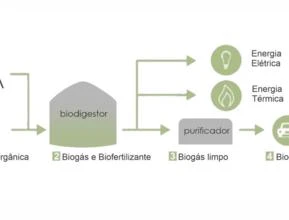 Kit Biodigestor para produção de Biogás