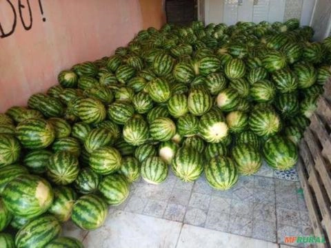 Vendo melancia. De 5 a 11 kg. Imagem Vendo melancia. De 5 a 11 kg.