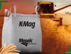 Fertilizante K-Mag para Trigo - Mosaic