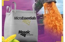 Fertilizante Microessentials S15 para Milho - Mosaic